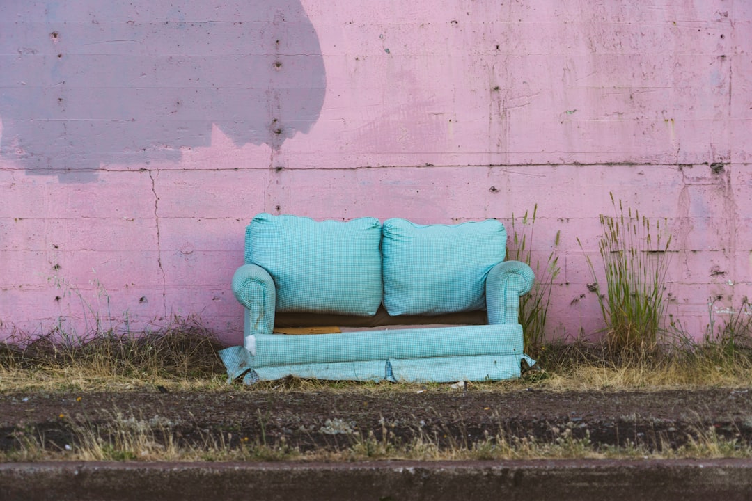 Ugh, pastels are SO 2018... I drove past this near downtown Salem, Oregon, and for some reason was amused with the color scheme--busted light cyan couch meets abandoned pastel purple and pink industrial building. Just because its abandoned junk, doesnt mean it cant have a trendy color scheme.